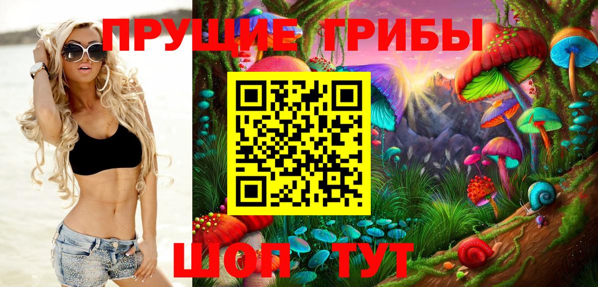 наркотики  Вход с VPN  Дальнегорск  Галлюциногенные грибы GOLDEN TEACHER  Псилоцибиновые грибы Magic Shrooms 